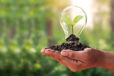 Compromiso ambiental